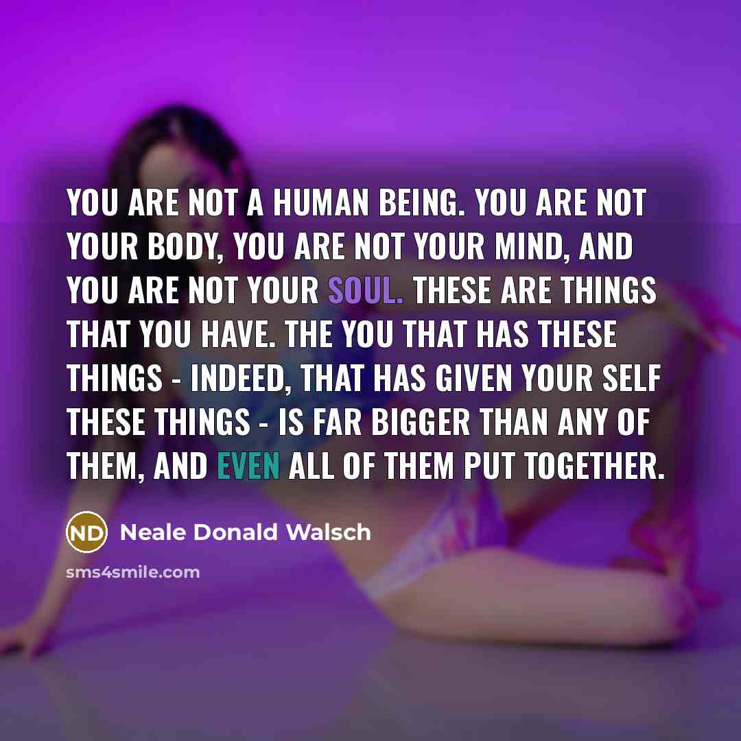 “You are not a human being. You are not your…” quote by Neale Donald Walsch