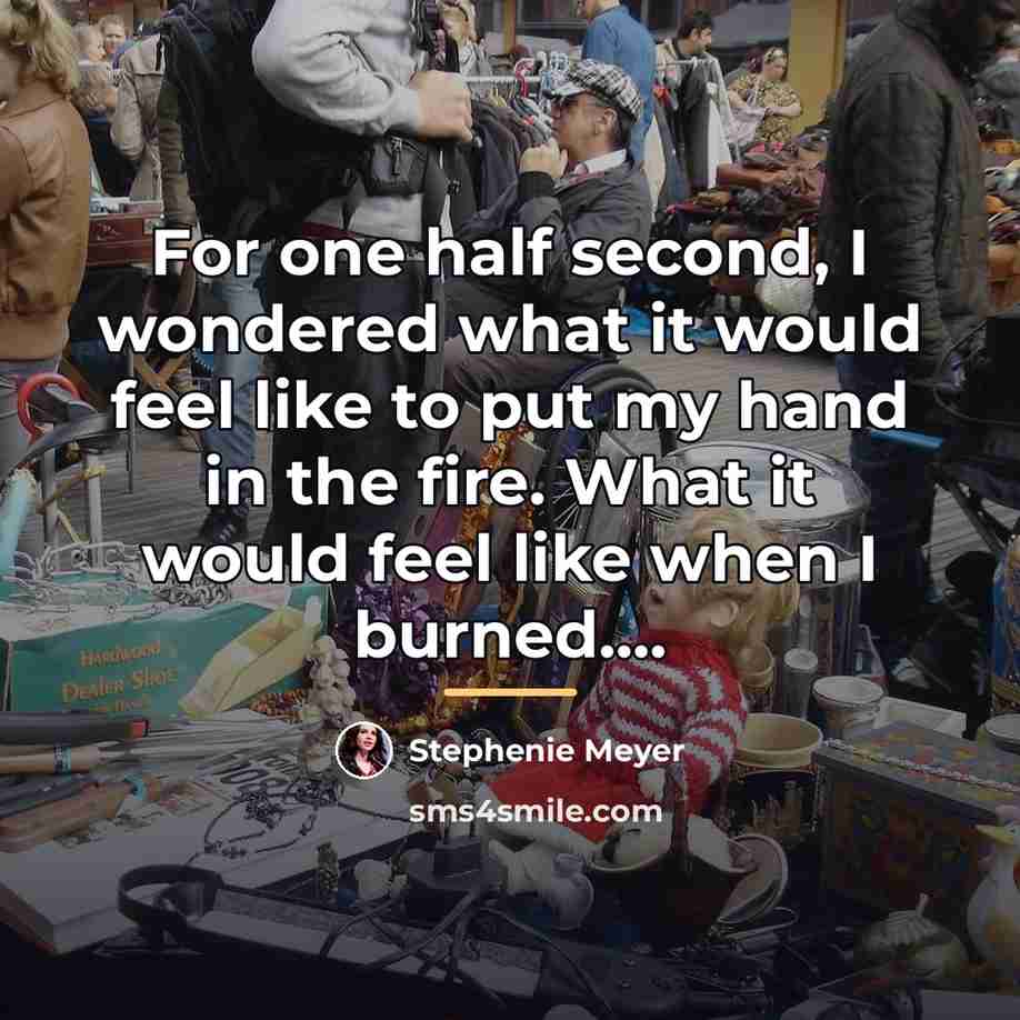 “For one half second, I wondered what it would feel…” quote by Stephenie Meyer