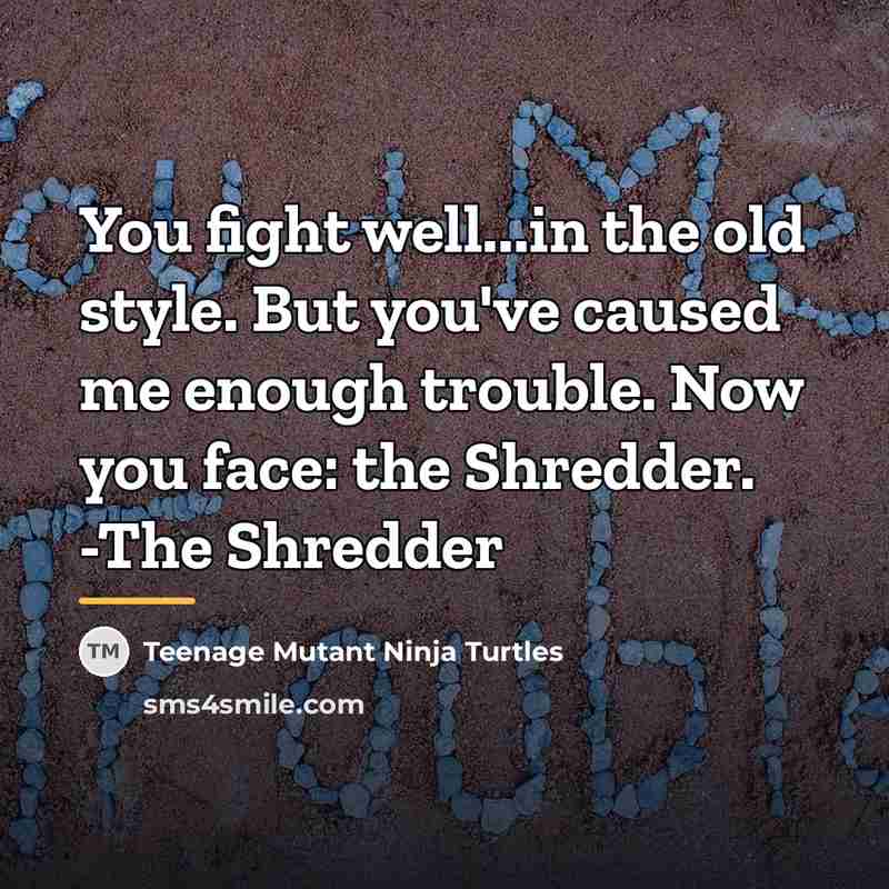 “You fight well...in the old style. But you've caused me…” quote by Teenage Mutant Ninja Turtles