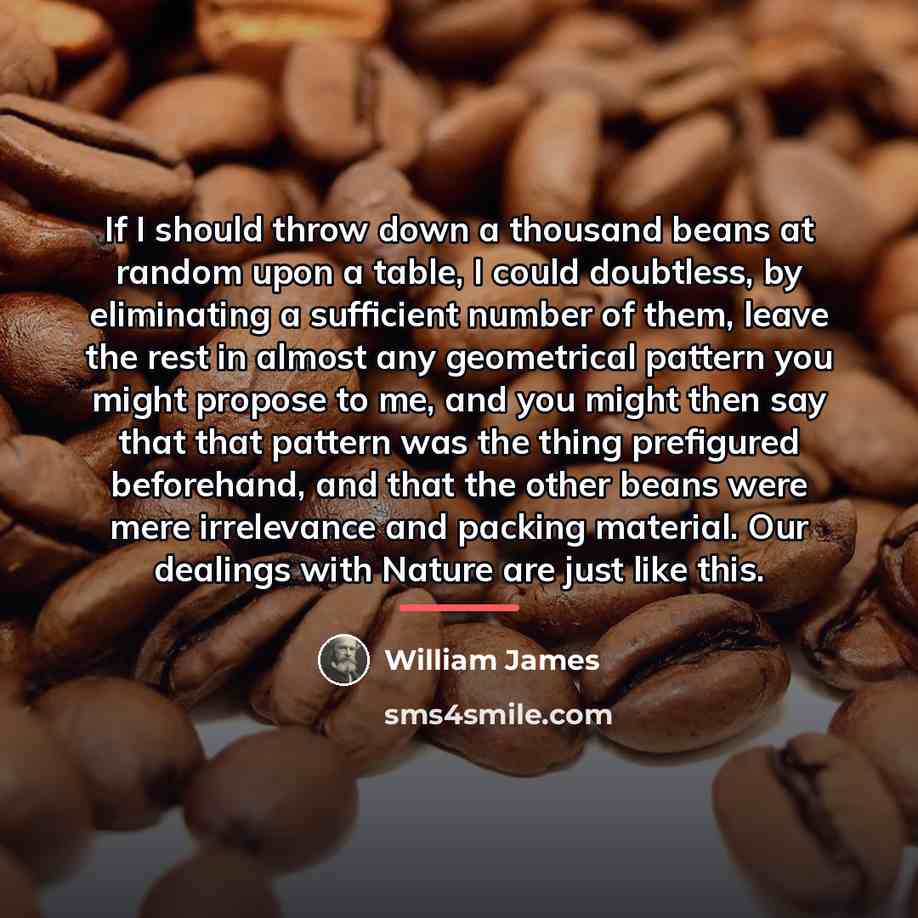 “If I should throw down a thousand beans at random…” quote by William James