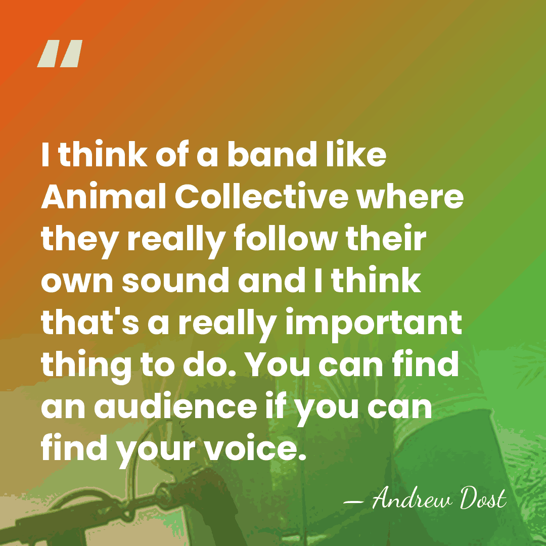 I think of a band like Animal Collective where they really follow&hellip; - Andrew Dost