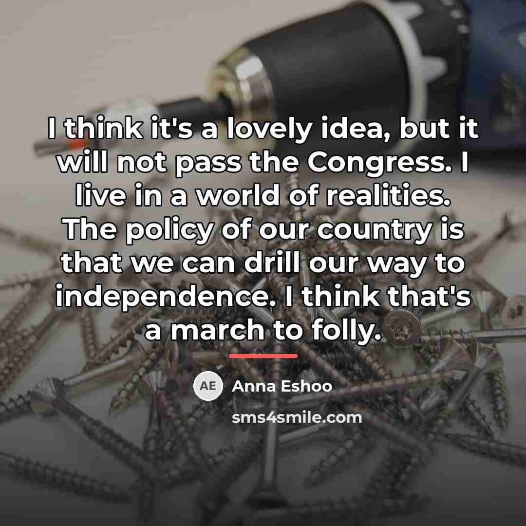 “I think it's a lovely idea, but it will not…” quote by Anna Eshoo
