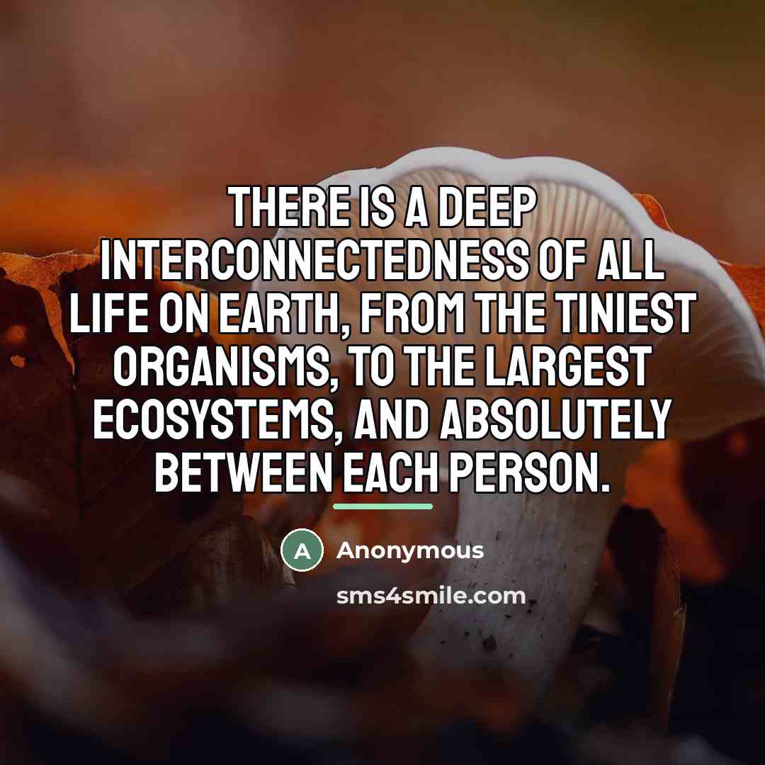 “There is a deep interconnectedness of all life on earth,…” quote by Anonymous