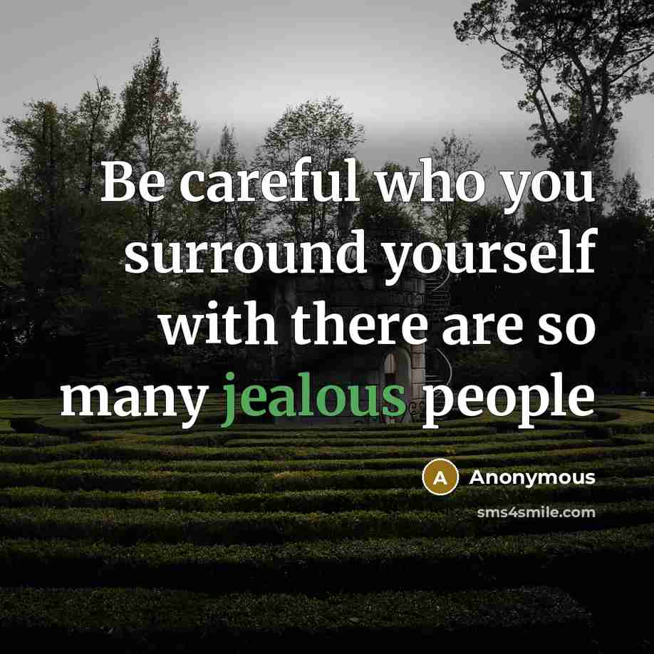 “Be careful who you surround yourself with there are so many jealous people” quote by Anonymous