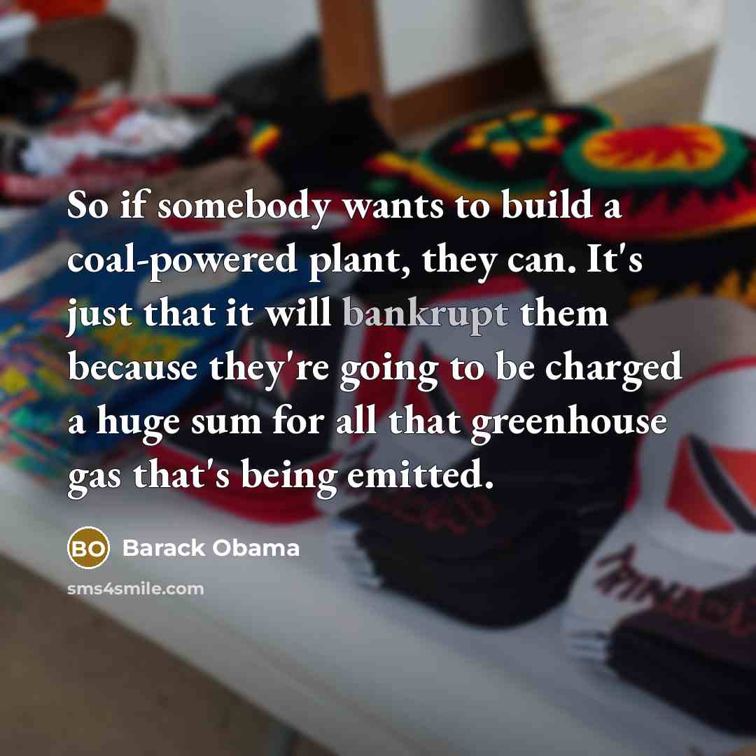 “So if somebody wants to build a coal-powered plant, they…” quote by Barack Obama