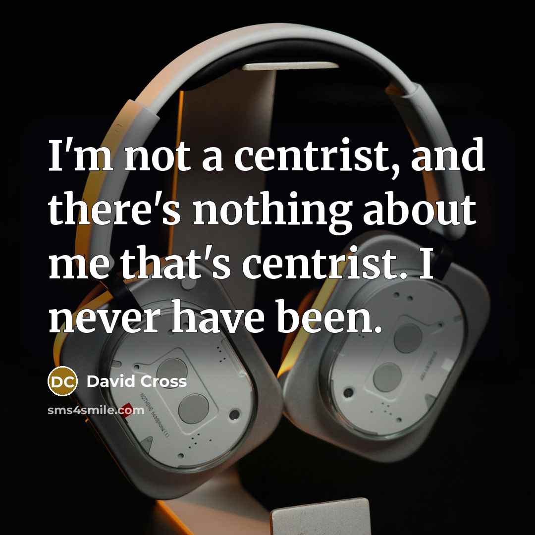 “I'm not a centrist, and there's nothing about me that's…” quote by David Cross
