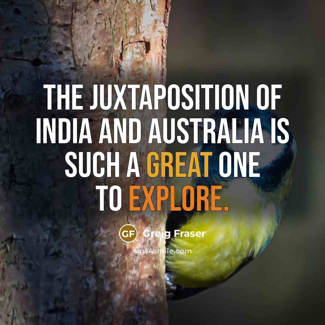 “The juxtaposition of India and Australia is such a great…” quote by Greig Fraser