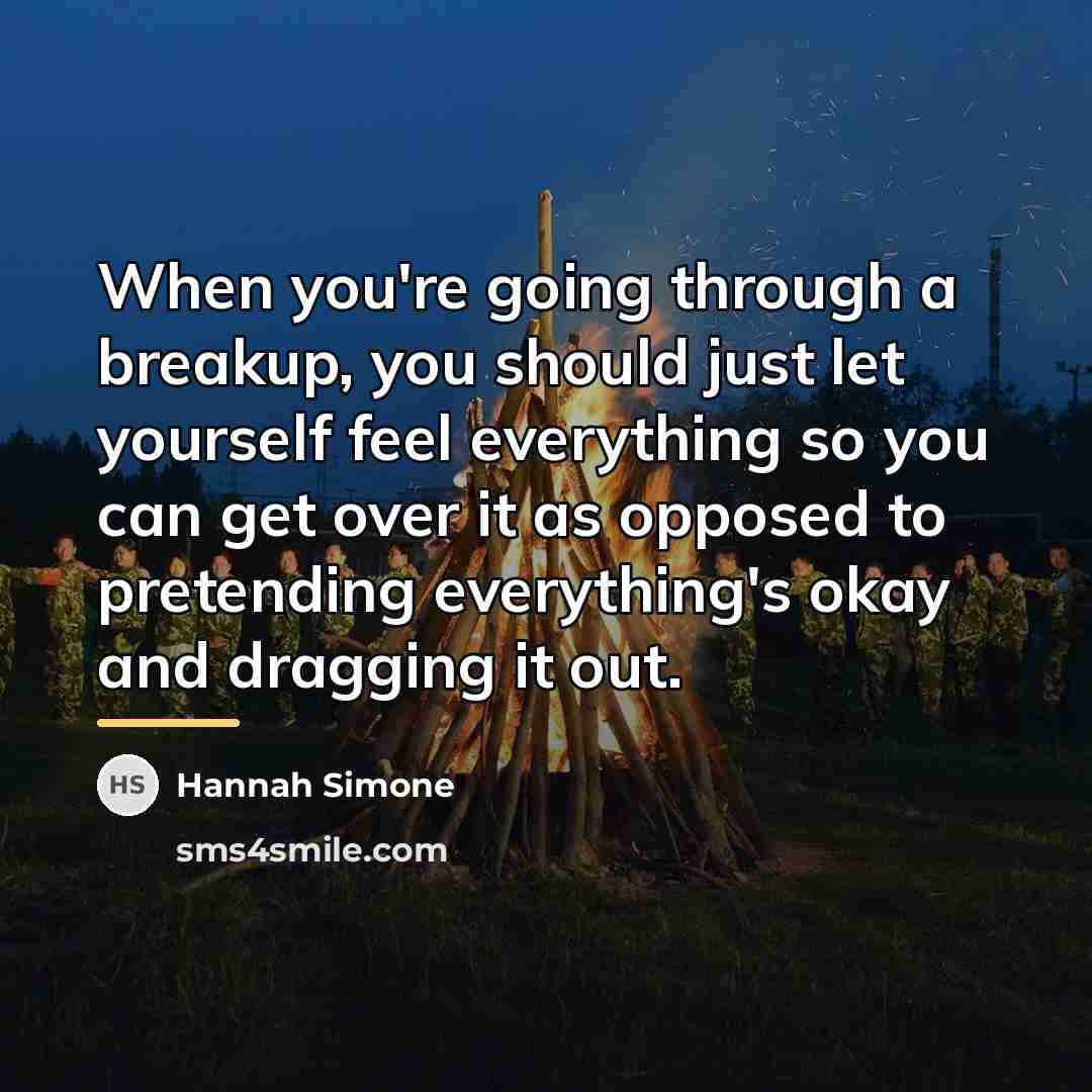 “When you're going through a breakup, you should just let…” quote by Hannah Simone