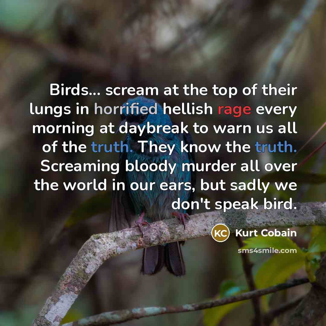 “Birds... scream at the top of their lungs in horrified…” quote by Kurt Cobain