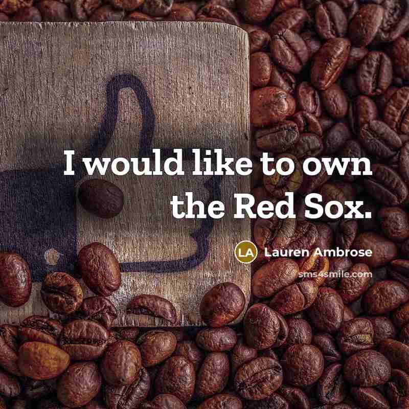 “I would like to own the Red Sox.…” quote by Lauren Ambrose