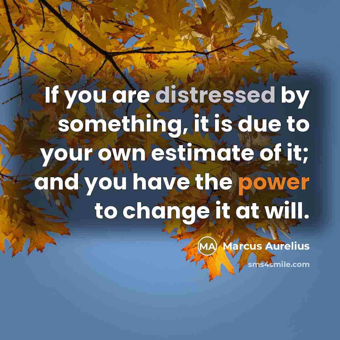 “If you are distressed by something, it is due to your own estimate of it; and you have the power to change it at will.” quote by Marcus Aurelius