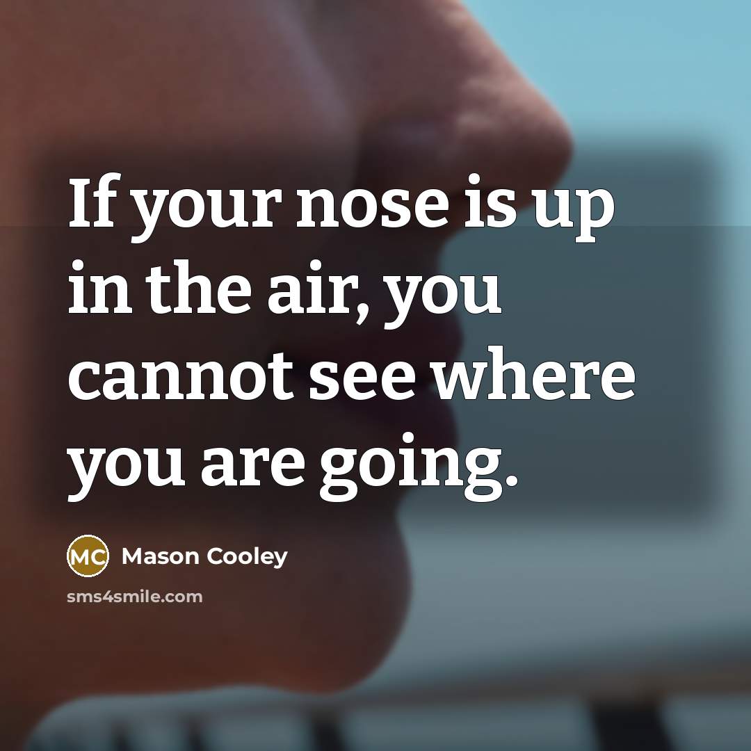 “If your nose is up in the air, you cannot…” quote by Mason Cooley