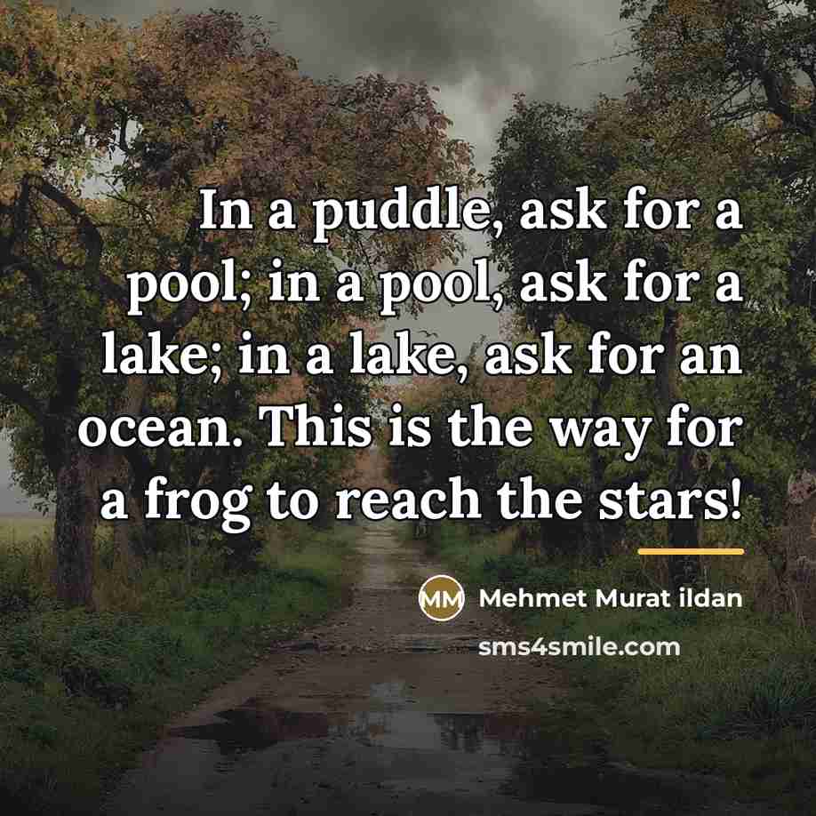 “In a puddle, ask for a pool; in a pool,…” quote by Mehmet Murat Ildan