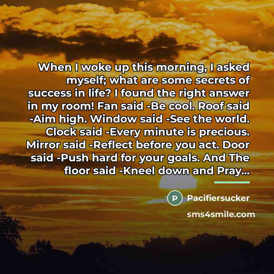 “When I woke up this morning, I asked myself; what…” quote by Pacifiersucker