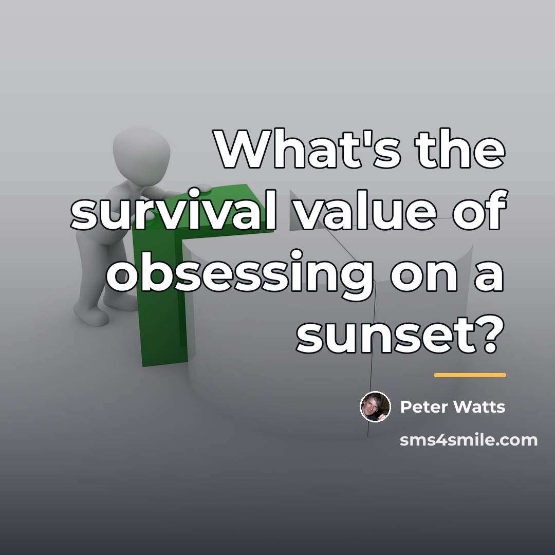 “What's the survival value of obsessing on a sunset?…” quote by Peter Watts