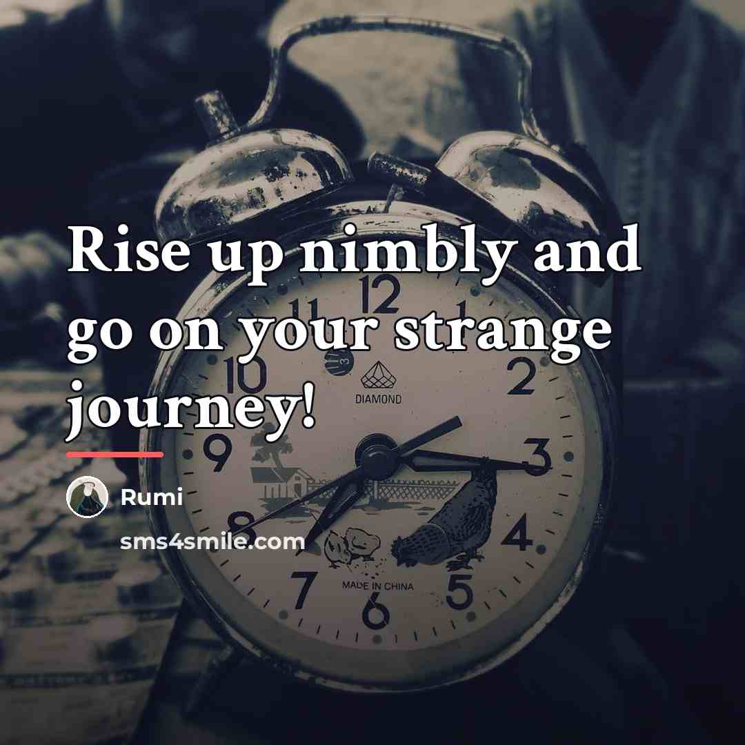 “Rise up nimbly and go on your strange journey!…” quote by Rumi