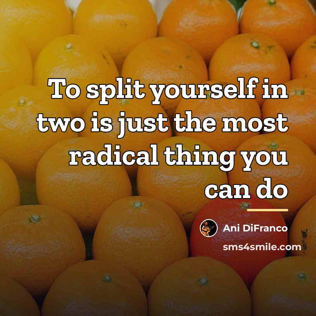 “To split yourself in two is just the most radical…” quote by Ani DiFranco