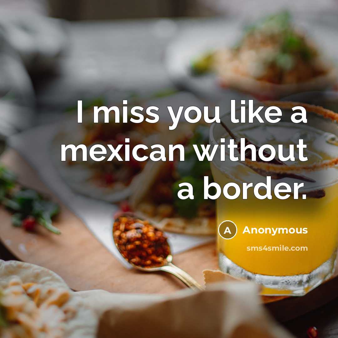 “I miss you like a mexican without a border.…” quote by Anonymous