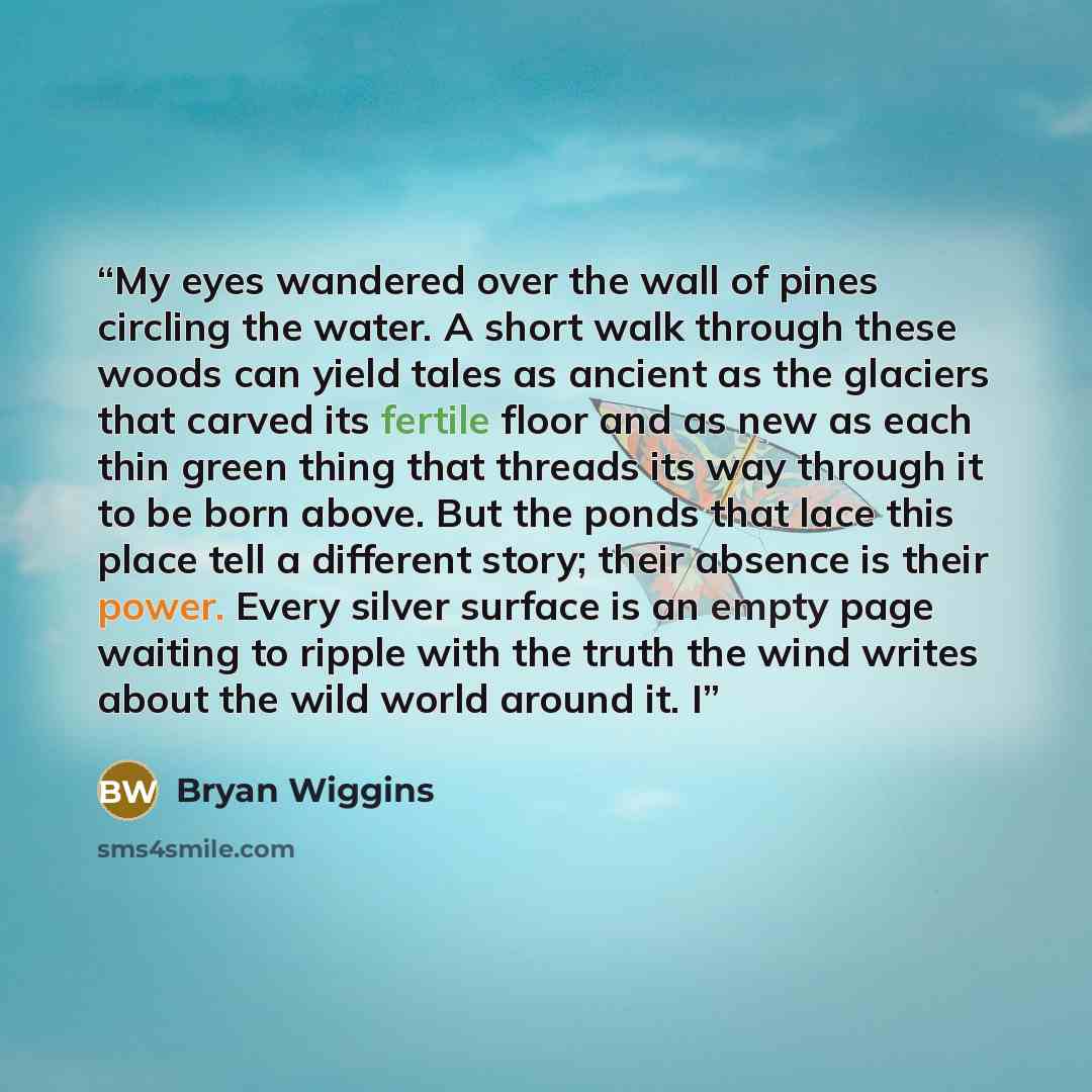 “My eyes wandered over the wall of pines circling the water. A short walk through these woods can yield tales as ancient as the glaciers that carved its fertile floor and as new as each thin green thing that threads its way through it to be born above. But the ponds that lace this place tell a…” quote by Bryan Wiggins