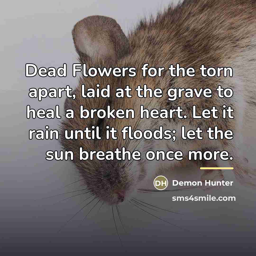 “Dead Flowers for the torn apart, laid at the grave…” quote by Demon Hunter
