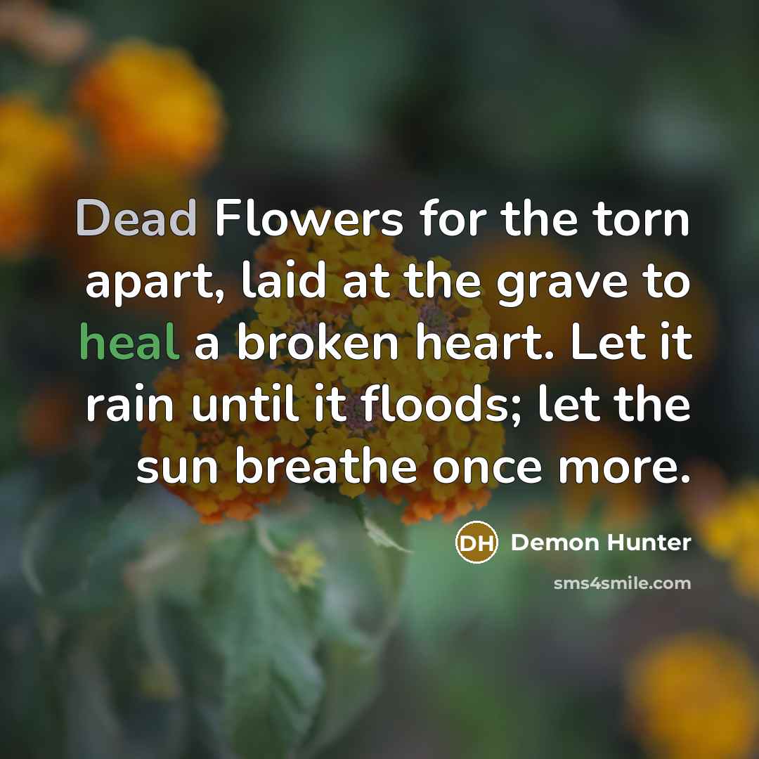 “Dead Flowers for the torn apart, laid at the grave to heal a broken heart. Let it rain until it floods; let the sun breathe once more.” quote by Demon Hunter