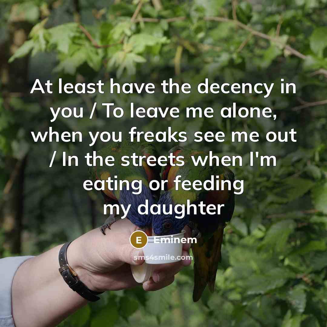 “At least have the decency in you / To leave…” quote by Eminem