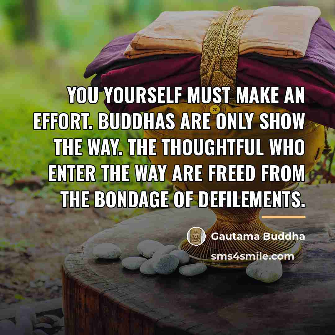 “You yourself must make an effort. Buddhas are only show…” quote by Gautama Buddha