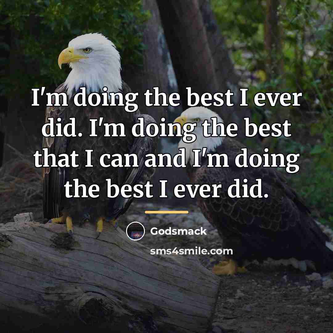 “I'm doing the best I ever did. I'm doing the…” quote by Godsmack