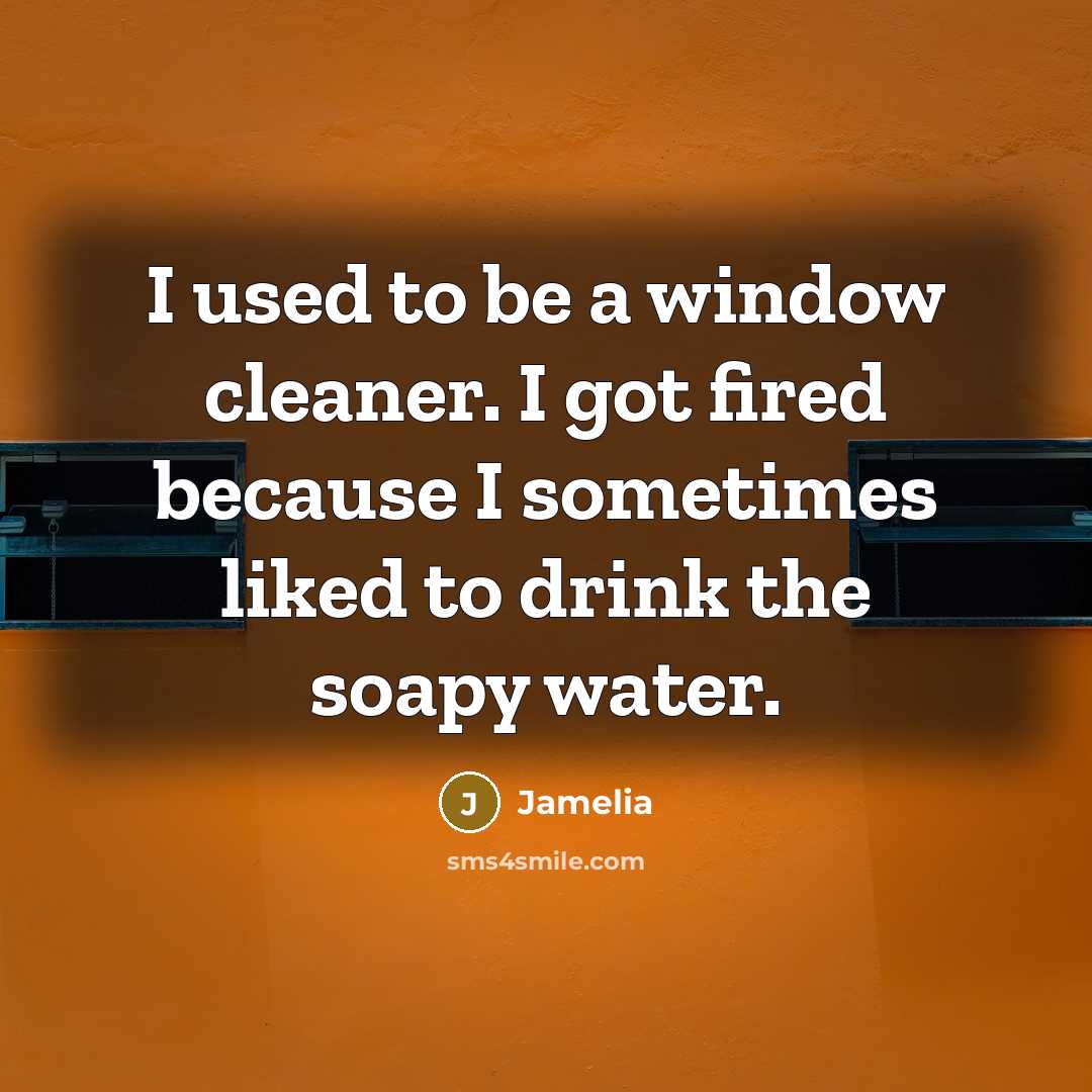 “I used to be a window cleaner. I got fired…” quote by Jamelia