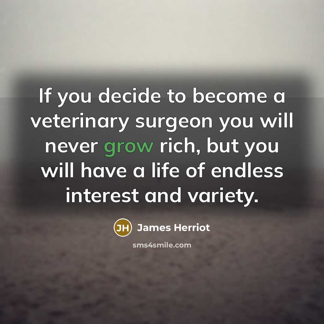 “If you decide to become a veterinary surgeon you will…” quote by James Herriot