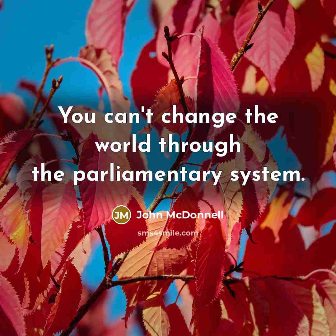 “You can't change the world through the parliamentary system.…” quote by John McDonnell