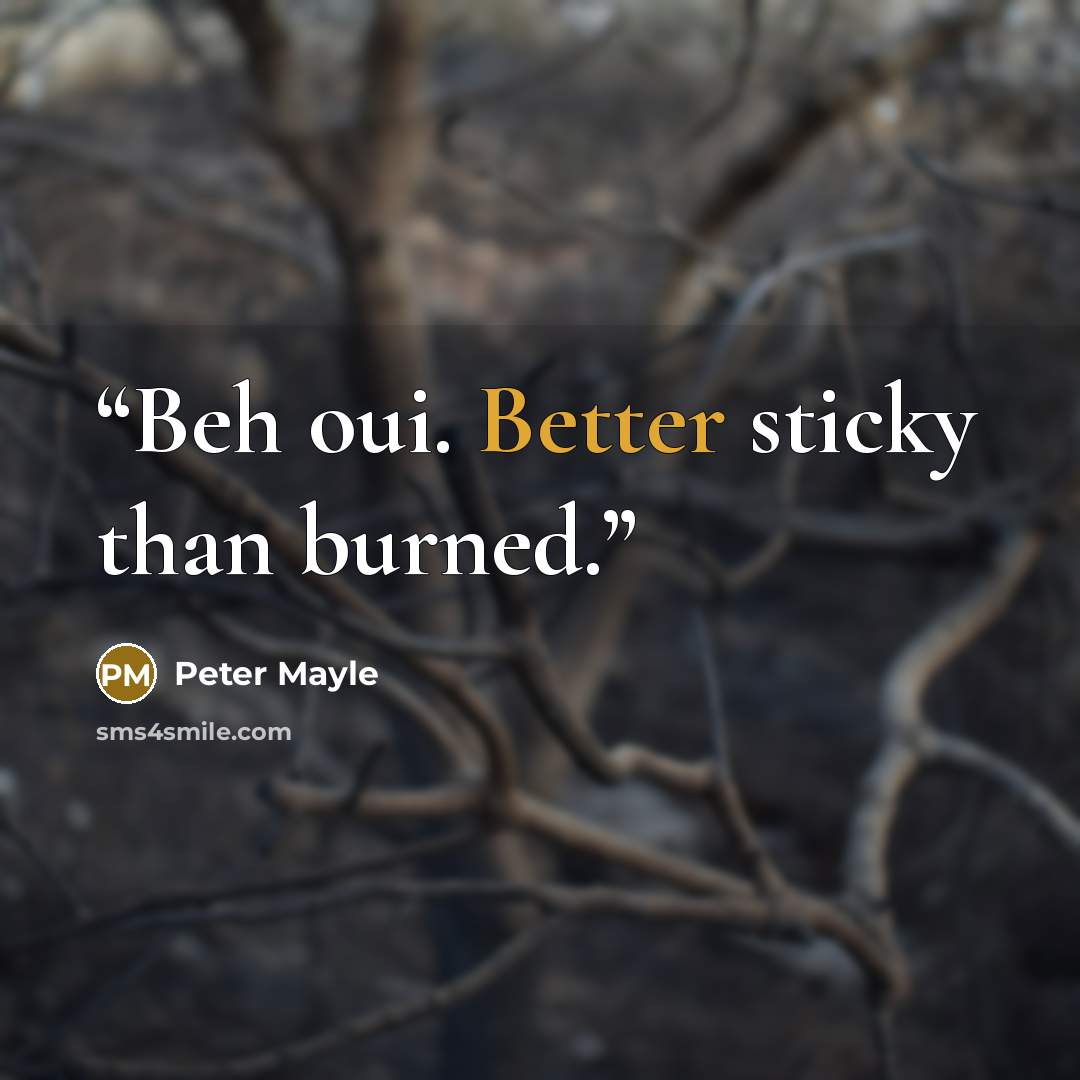 “Beh oui. Better sticky than burned.” quote by Peter Mayle