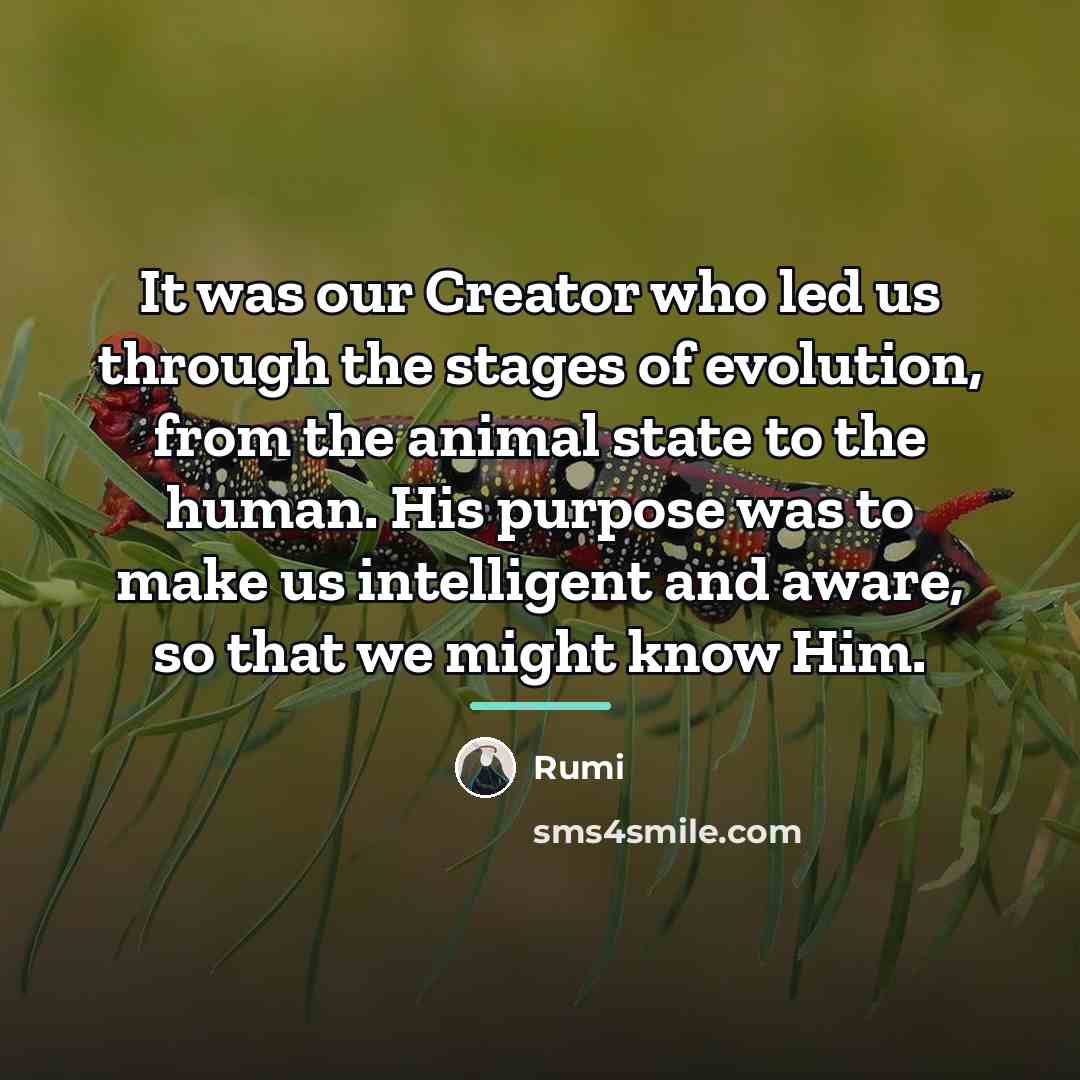 “It was our Creator who led us through the stages…” quote by Rumi