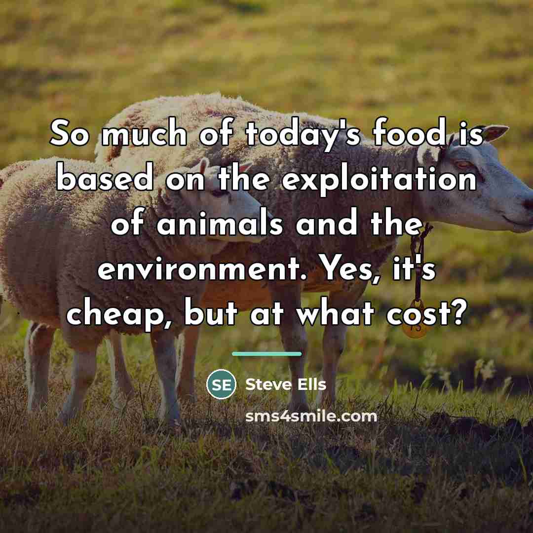 “So much of today's food is based on the exploitation…” quote by Steve Ells