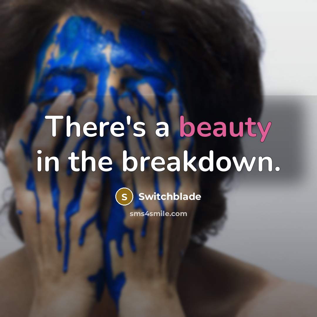 “There's a beauty in the breakdown.…” quote by Switchblade