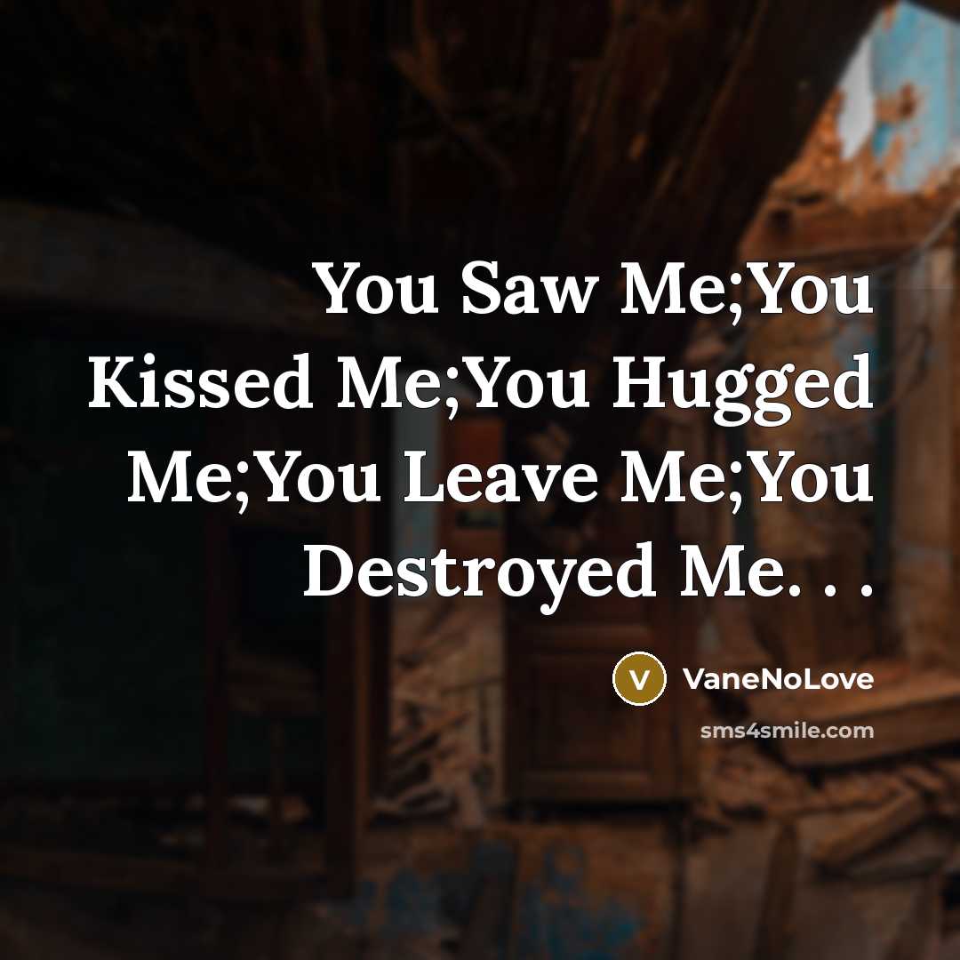 “You Saw Me;You Kissed Me;You Hugged Me;You Leave Me;You Destroyed Me. . .” quote by VaneNoLove