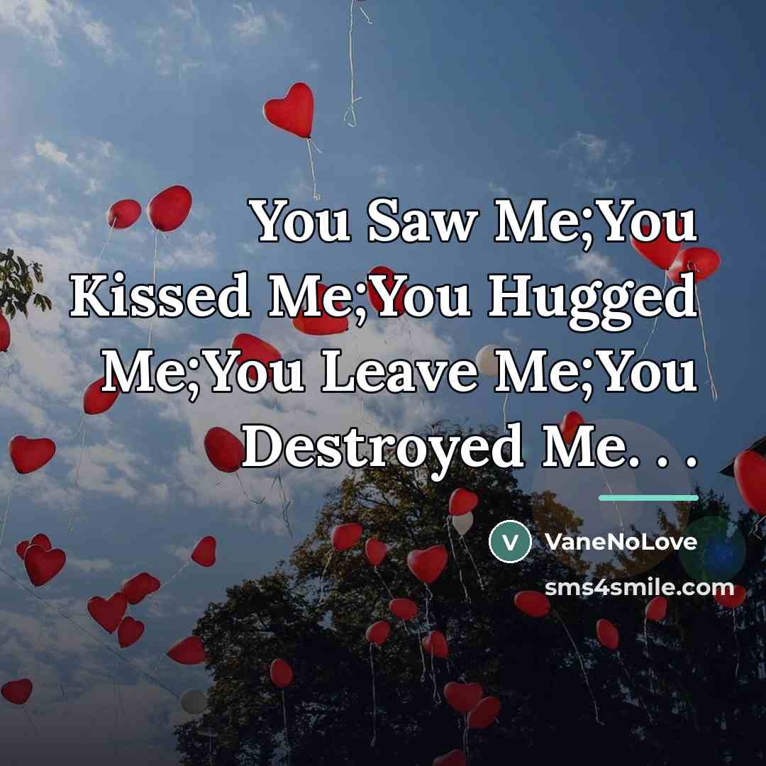 “You Saw Me;You Kissed Me;You Hugged Me;You Leave Me;You Destroyed…” quote by VaneNoLove