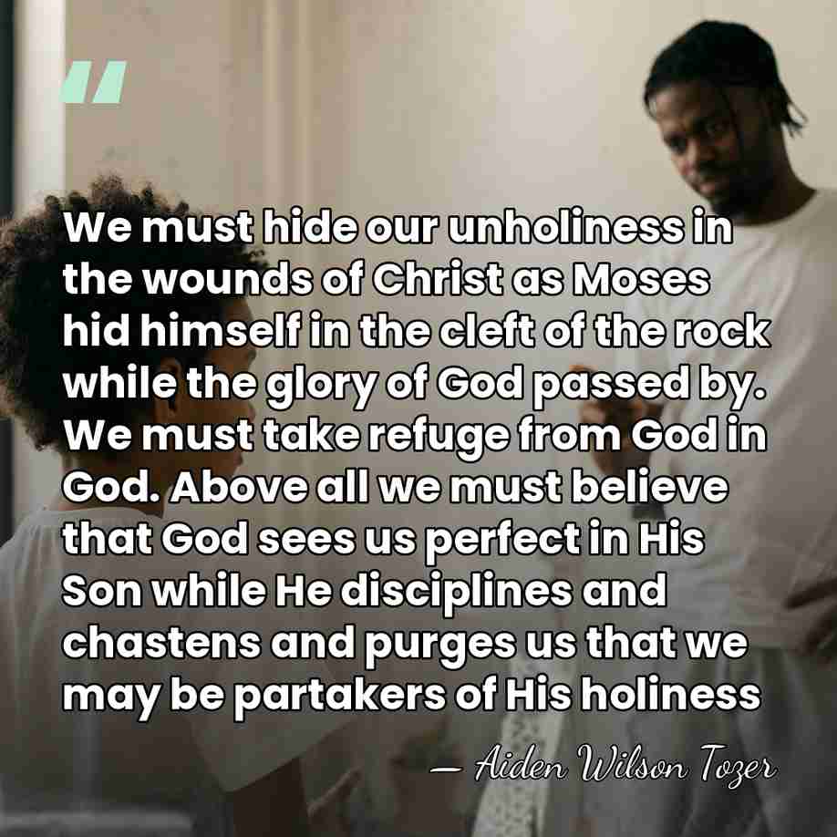 We must hide our unholiness in the wounds of Christ as Moses&hellip; - Aiden Wilson Tozer