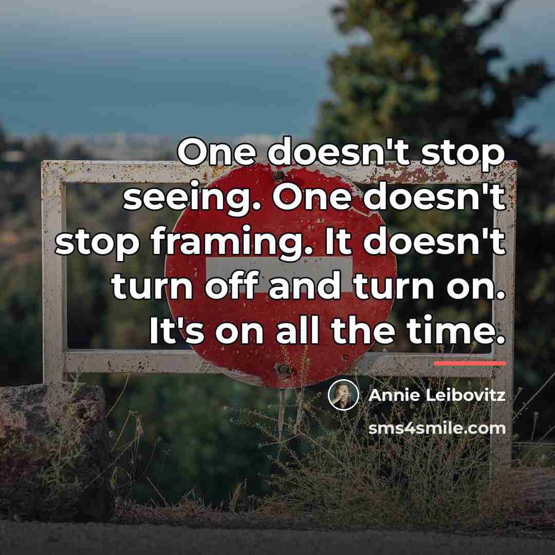 “One doesn't stop seeing. One doesn't stop framing. It doesn't…” quote by Annie Leibovitz