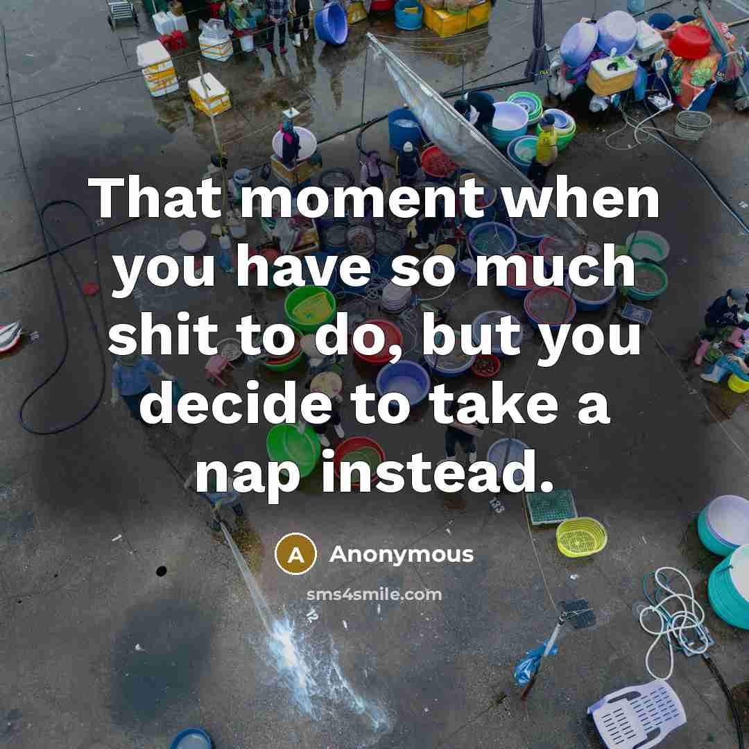 “That moment when you have so much shit to do,…” quote by Anonymous
