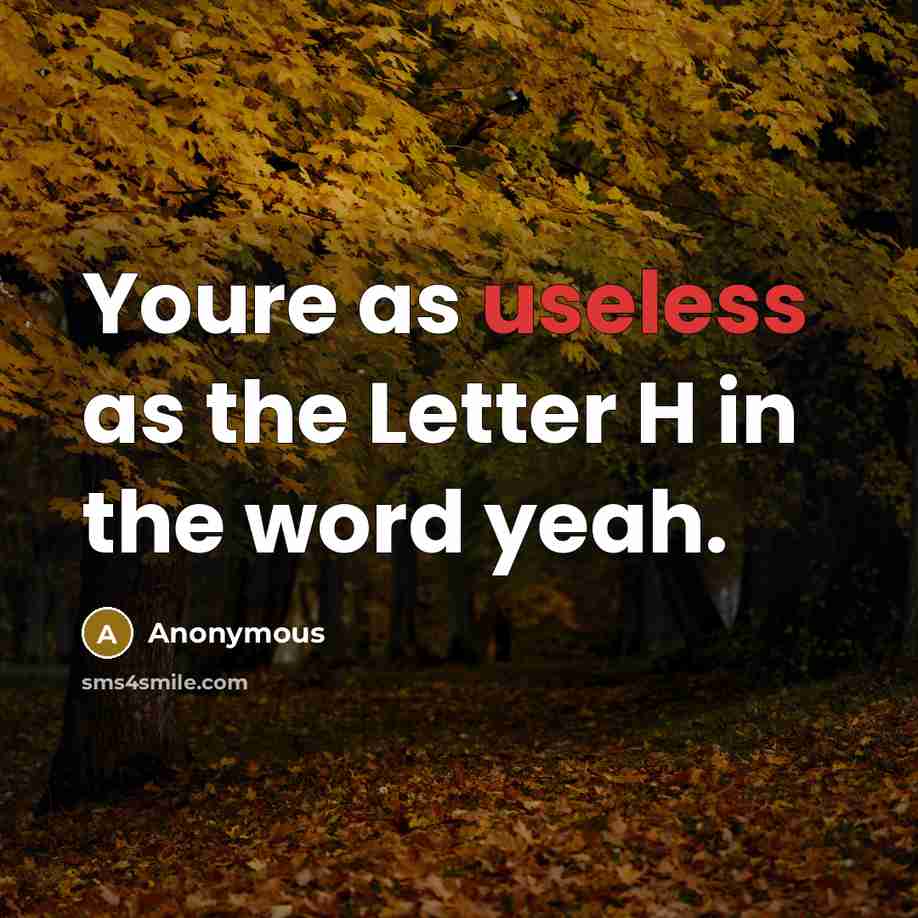 “Youre as useless as the Letter H in the word yeah.” quote by Anonymous