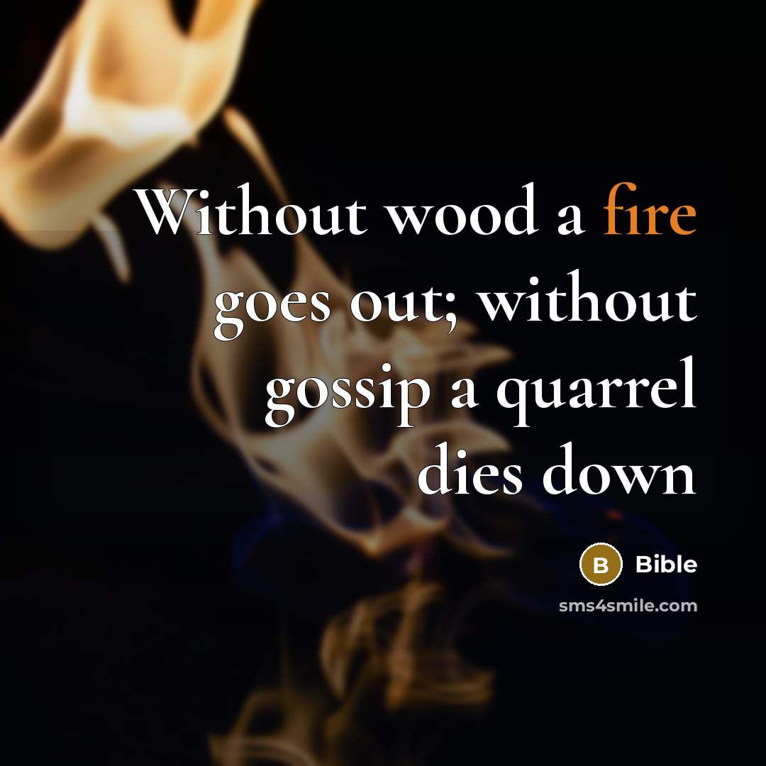 “Without wood a fire goes out; without gossip a quarrel…” quote by Bible