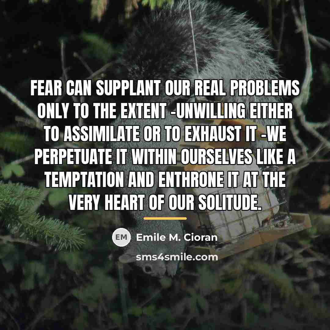 “Fear can supplant our real problems only to the extent…” quote by Emile M. Cioran