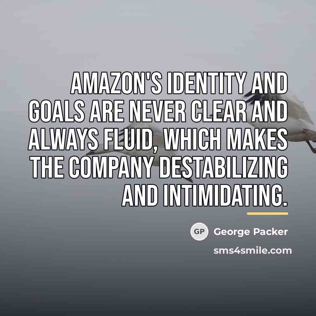 “Amazon's identity and goals are never clear and always fluid,…” quote by George Packer