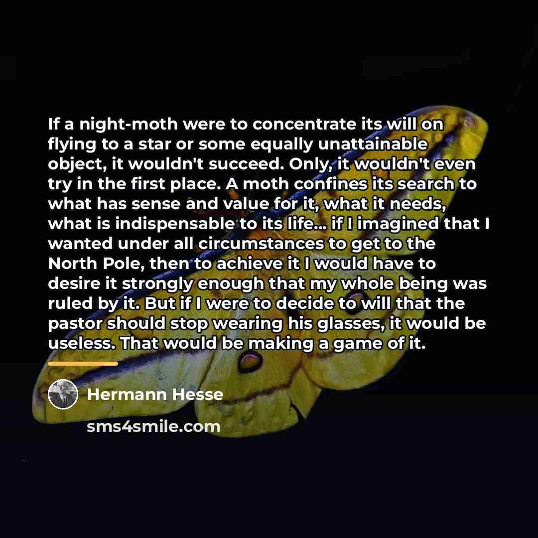 “If a night-moth were to concentrate its will on flying…” quote by Hermann Hesse