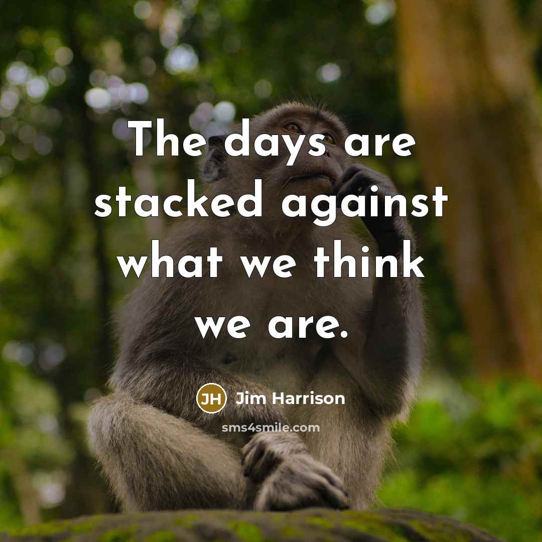 “The days are stacked against what we think we are.” quote by Jim Harrison