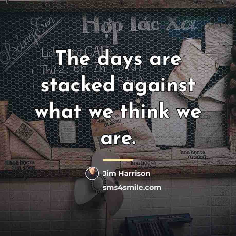 “The days are stacked against what we think we are.…” quote by Jim Harrison