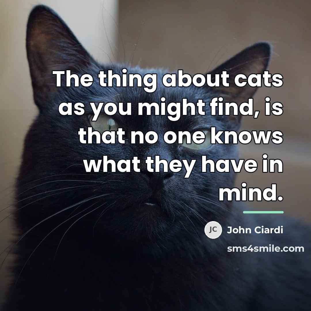 “The thing about cats as you might find, is that…” quote by John Ciardi