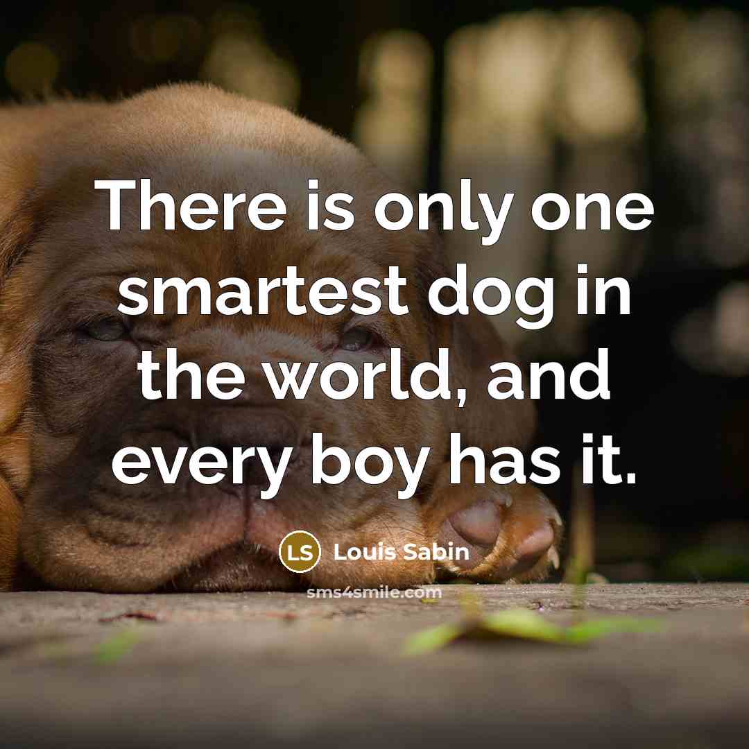 “There is only one smartest dog in the world, and…” quote by Louis Sabin
