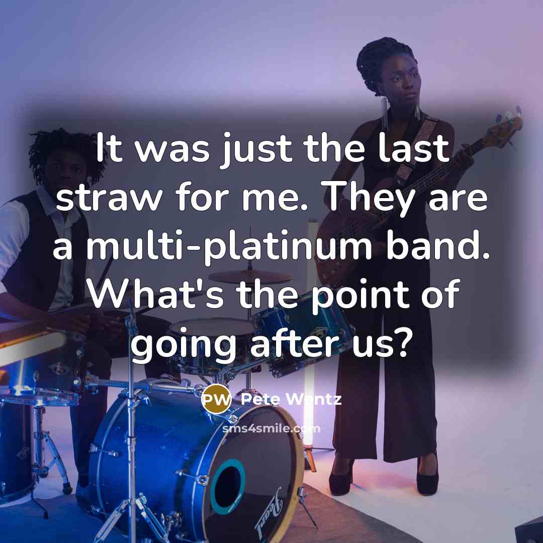 “It was just the last straw for me. They are a multi-platinum band. What's the point of going after us?” quote by Pete Wentz